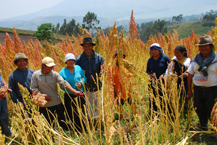 Soberanía alimentaria con enfoque agroecológico y énfasis en la salud comunitaria en 5 comunidades de los municipios de San Mateo Ixtatán y Nentón, Departamento de Huehuetenango, Guatemala (Gobierno de Aragón)